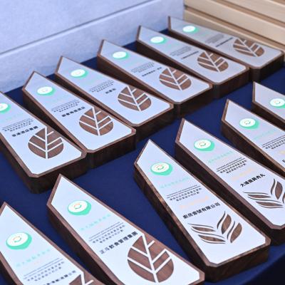 Whatsapp Image 2025 06 24 At 7.50.20 Pm 11